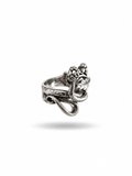 Anillo Plata