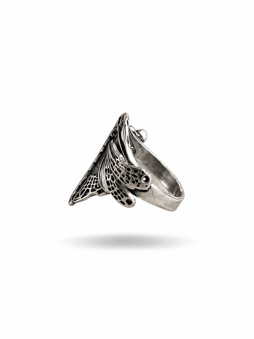 Anillo Plata