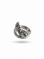 Anillo Plata