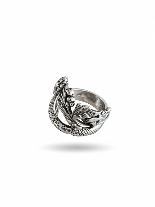 Anillo Plata