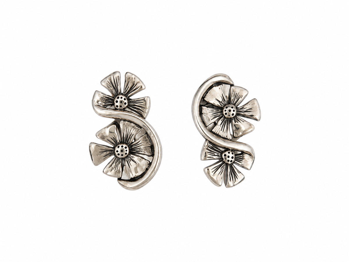 Pendientes Plata